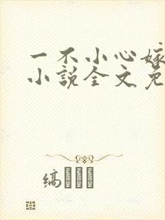 一不小心嫁总裁小说全文免费阅读