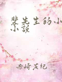 裴先生的小甜妻小说