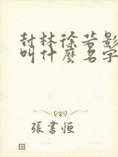 封林徐若影小说叫什么名字