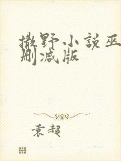 撒野小说巫哲未删减版