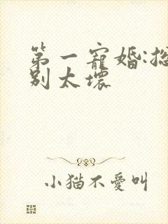 第一宠婚:总裁别太坏