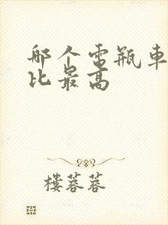 哪个电瓶车性价比最高