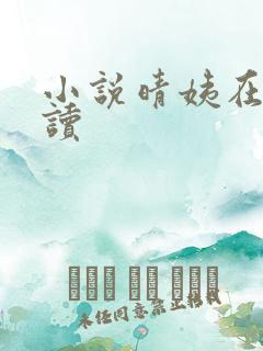 小说晴姨在线阅读