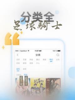 足球骑士：结局+番外