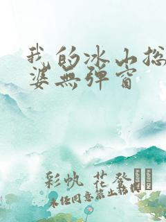 我的冰山总裁老婆无弹窗