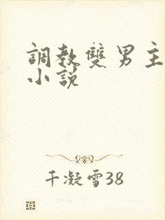 调教双男主双性小说