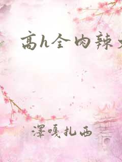 高h全肉辣文