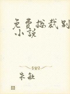 免费总裁别太坏 小说