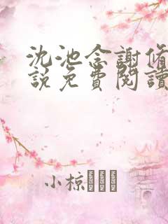 沈池念谢修鸣小说免费阅读最新章节