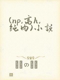 (np,高h,纯肉)小说