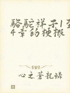 骆驼祥子1至24章的梗概