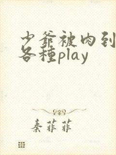 少爷被肉到失禁各种play