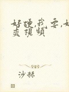 好硬,我要,好爽视频