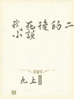 我死后的二十年小说