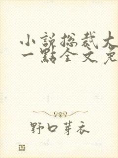 小说总裁大人轻一点全文免费阅读