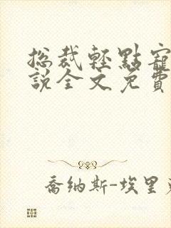 总裁轻点宠一小说全文免费阅读