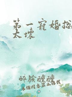 第一宠婚总裁别太坏