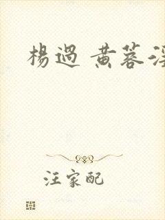 杨过 黄蓉淫传