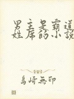 男主是霸道总裁姓席的小说