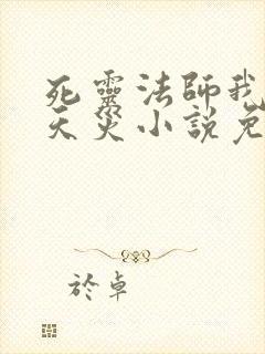 死灵法师我即是天灾小说免费阅读txt