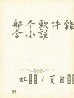 哪个软件能看百合小说