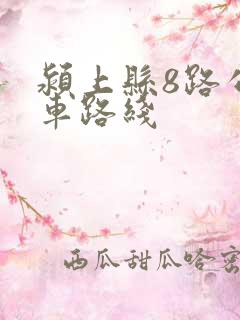 颍上县8路公交车路线