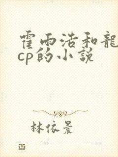 霍雨浩和龙皓晨cp的小说
