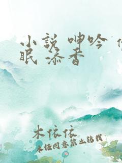 小说 呻吟 催眠 添香 小说 呻吟 催眠 添香
