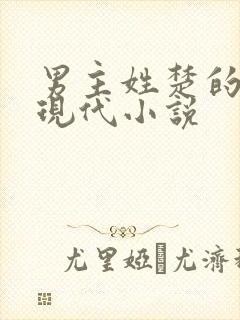 男主姓楚的所有现代小说