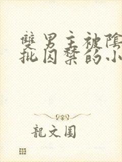 双男主被阴郁疯批囚禁的小说