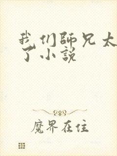 我们师兄太稳健了小说