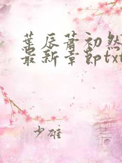 叶辰萧初然免费最新章节txt