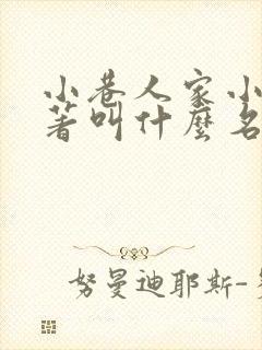 小巷人家小说原著叫什么名字