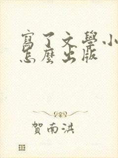 写了文学小说后怎么出版