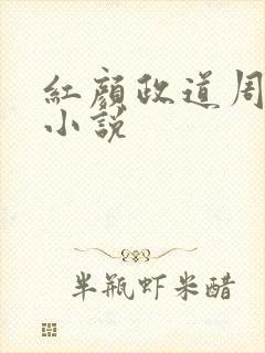 红颜政道周平的小说