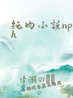 纯肉小说np高h