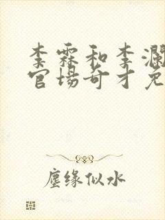 李霖和李澜小说官场奇才免费阅读