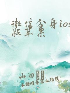 微信分身ios版苹果