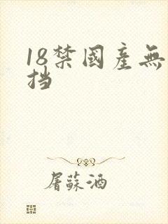 18禁国产无遮挡