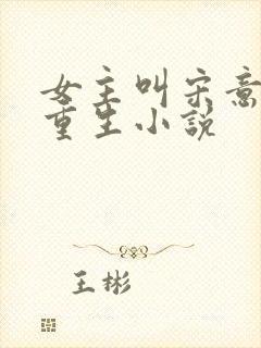 女主叫宋意欢的重生小说