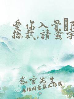 爱你入骨·隐婚总裁,请签字免费阅读