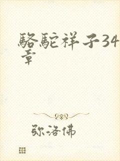 骆驼祥子345章
