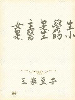 女主是学生男主是医生的小说