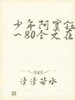 少年阿宾钰慧1~80全文在线阅读
