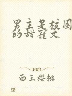 男主是校园大佬的甜宠文