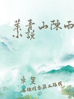 叶青山陈雨陈婷小说
