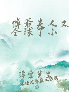 傅爷夫人又惊艳全球了小