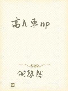 高h车np