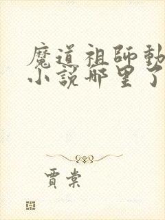 魔道祖师动漫到小说哪里了