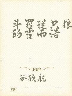 斗罗从只狼归来的霍雨浩 斗罗从只狼归来的霍雨浩